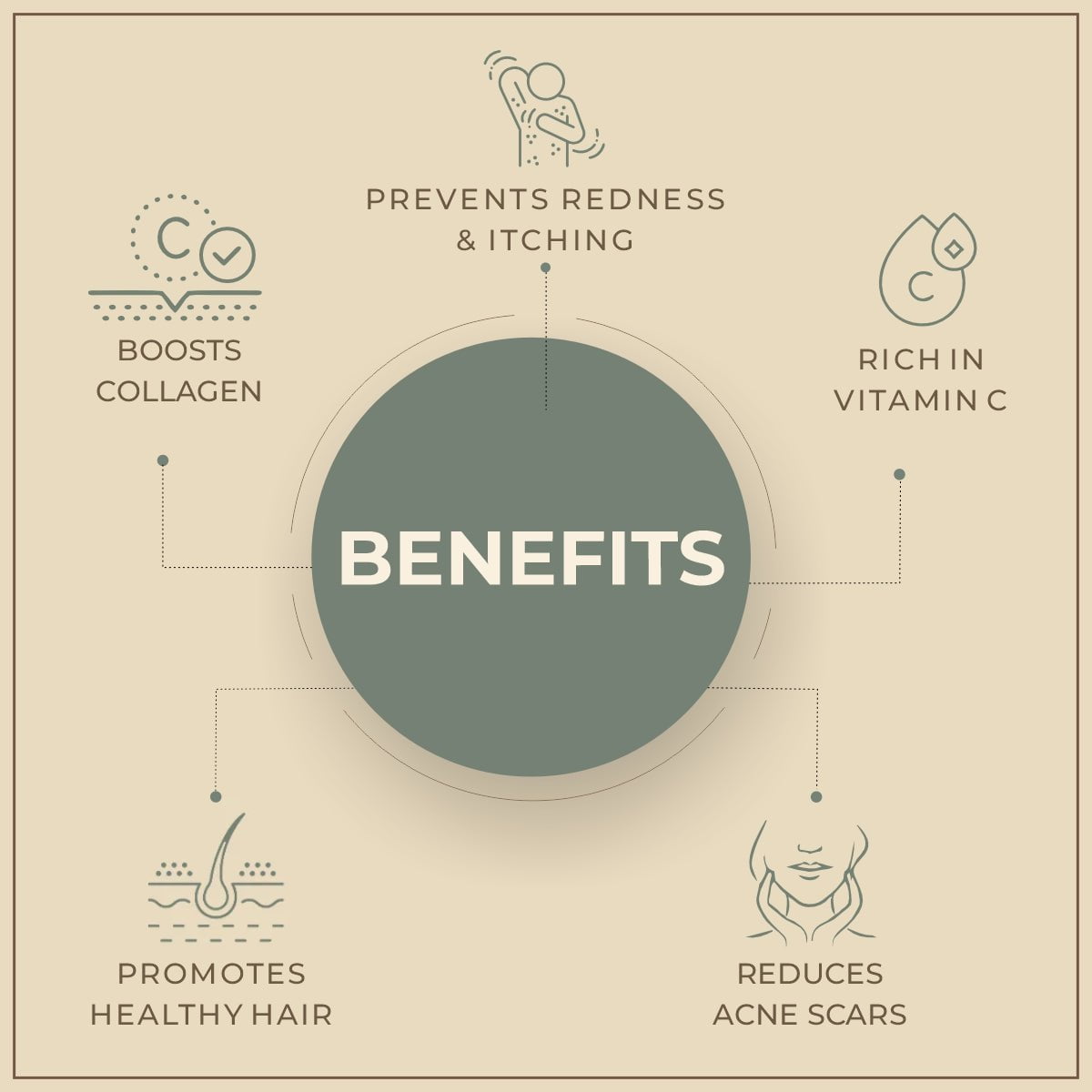 Salvia Natural Essential Oils Okra Essential Oil Salvia Natural Essential Oils Okra Essential Oil